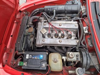 Alfa Romeo Spider 1982