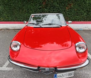 Alfa Romeo Spider 1982