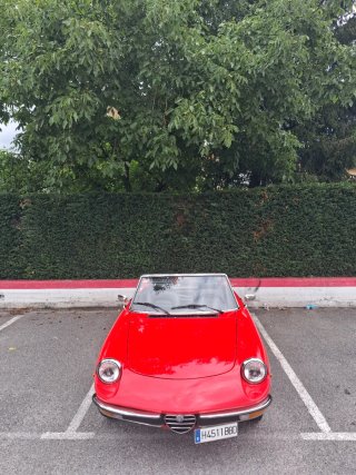 Alfa Romeo Spider 1982