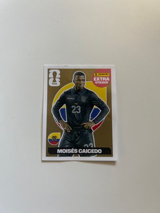Panini Extra Sticker Moises Caicedo