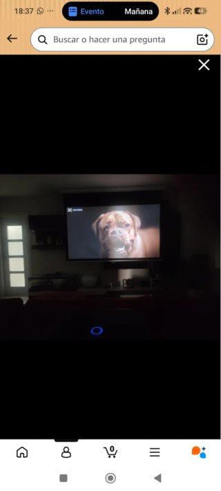 Pantalla Proyector Manual 225 cm