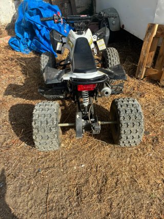 Quad ROAN PANTERA Negro/Blanco
