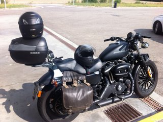 HARLEY DAVIDSON SPORTSTER 883