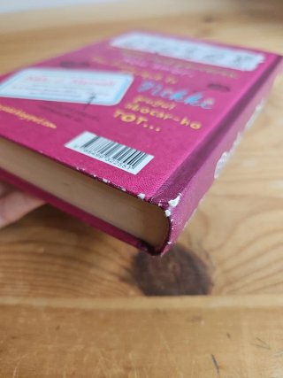 Diari d ́una penjada 1. Manual de supervivència...