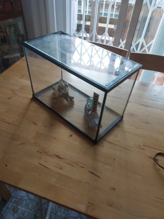 Acuario 15L con adornos