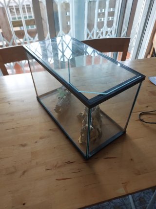 Acuario 15L con adornos