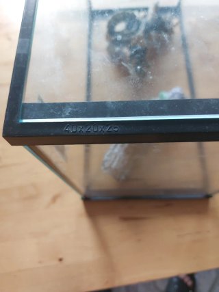 Acuario 15L con adornos