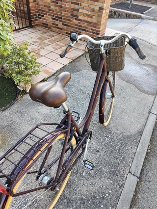 Bicicleta Urbana Crescent