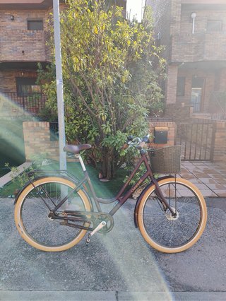 Bicicleta Urbana Crescent