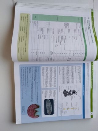 BIOLOGIA 1 Batxillerat CONSTRUINT MONS