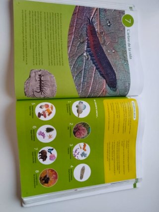 BIOLOGIA 1 Batxillerat CONSTRUINT MONS