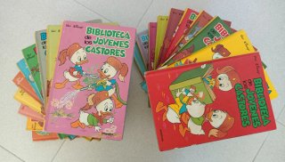 Biblioteca de los jóvenes castores