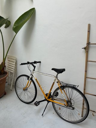 Bicicleta (talla M) con candado y cesta opcional