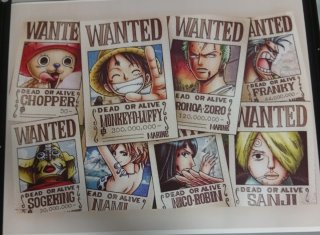 Póster Wanted One Piece 80/60 y solo uno entero