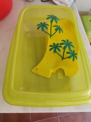 Acuario tortuga