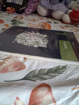 Filosofía, 1 Bachillerato