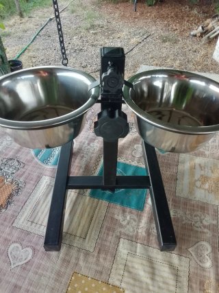 Comedero doble para perros