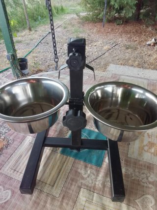 Comedero doble para perros