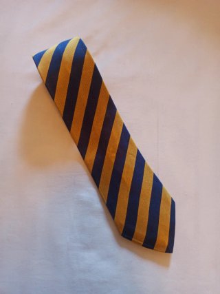 Corbata Lester Rayas Azul y Dorado