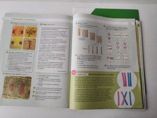Biología y Geología Andalucía. 4o ESO