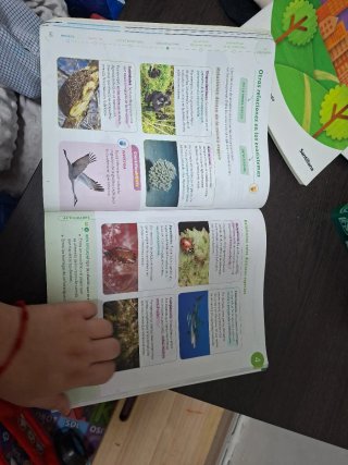 Ciencias de la naturaleza, 3 Primaria