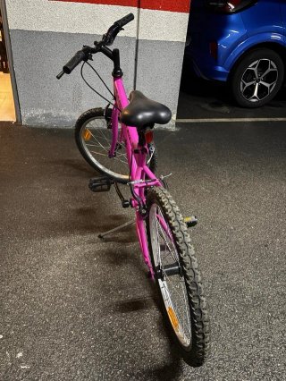Bicicleta Infantil Rosa 20