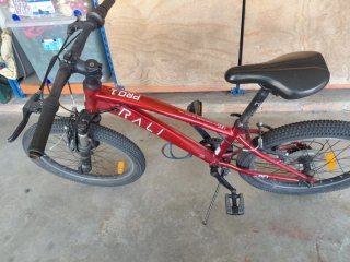 Bicicleta Rali Pro1 20 pulgadas
