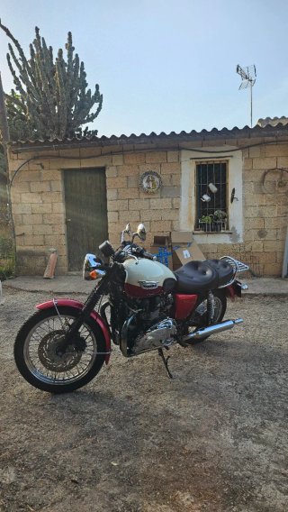 Triumph Bonneville T100 Crema y cereza