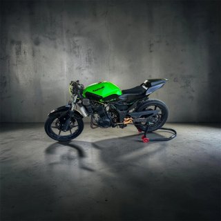 Kawasaki Ninja 250 R Circuito