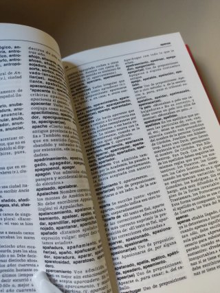 2x1 Diccionario práctico incorrecciones dudas y no