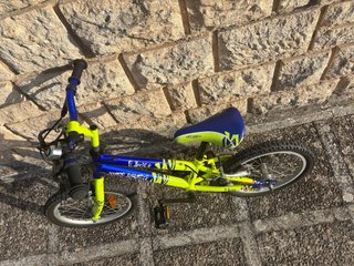 Bici Peliser Lion