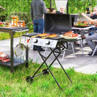 Barbacoa de gas plegable