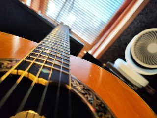 Ovation 1619 USA Guitarra Acústica