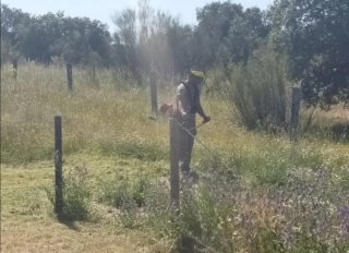 Servicio de jardinería y mantenimiento