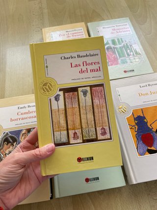 Lote de 6 libros Biblioteca Millenium