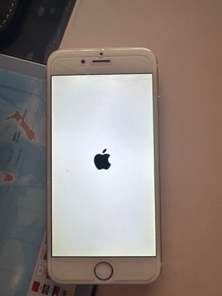 iPhone 6 Gold/White protector pantalla