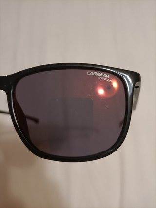 Ducati Carrera occhiali da sole uomo collezione
