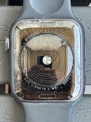 Apple Watch SE 44mm Gris