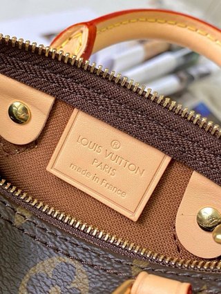 Borsa Louis Vuitton Speedy Nano
