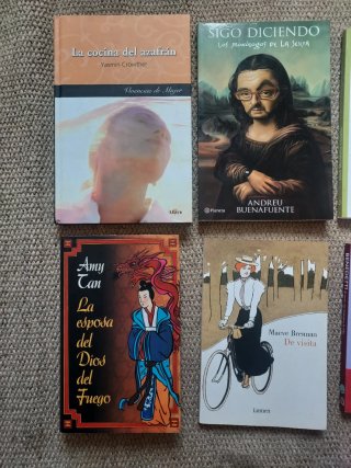 Lote 6 libros novelas variadas