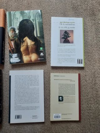 Lote 6 libros novelas variadas