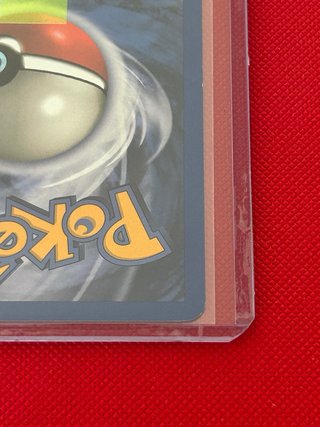 Psyduck Pokémon Básico 53/62 Español