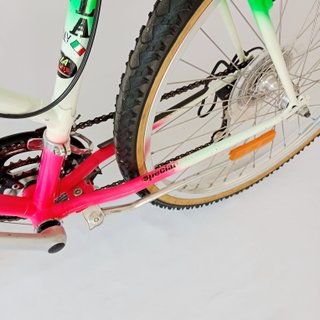 Mountain Bike Zanella Donna Anno 1990
