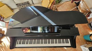 Carcasa de Piano Cola / Piano Shell
