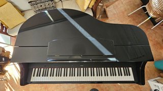 Carcasa de Piano Cola / Piano Shell