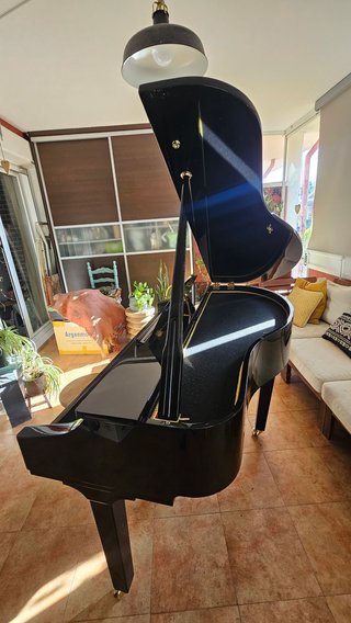 Carcasa de Piano Cola / Piano Shell