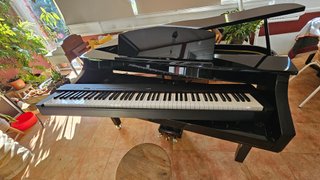 Carcasa de Piano Cola / Piano Shell