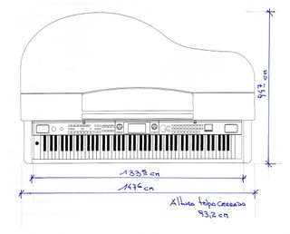 Carcasa de Piano Cola / Piano Shell