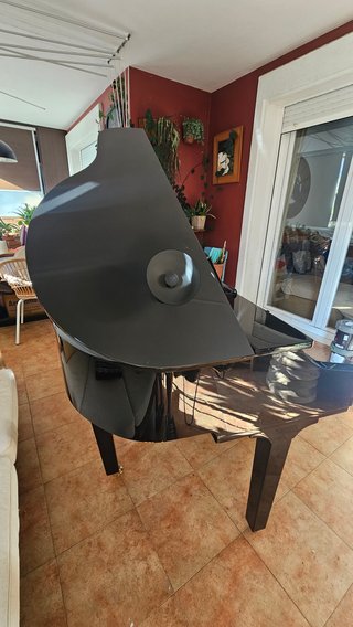 Carcasa de Piano Cola / Piano Shell