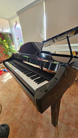 Carcasa de Piano Cola / Piano Shell